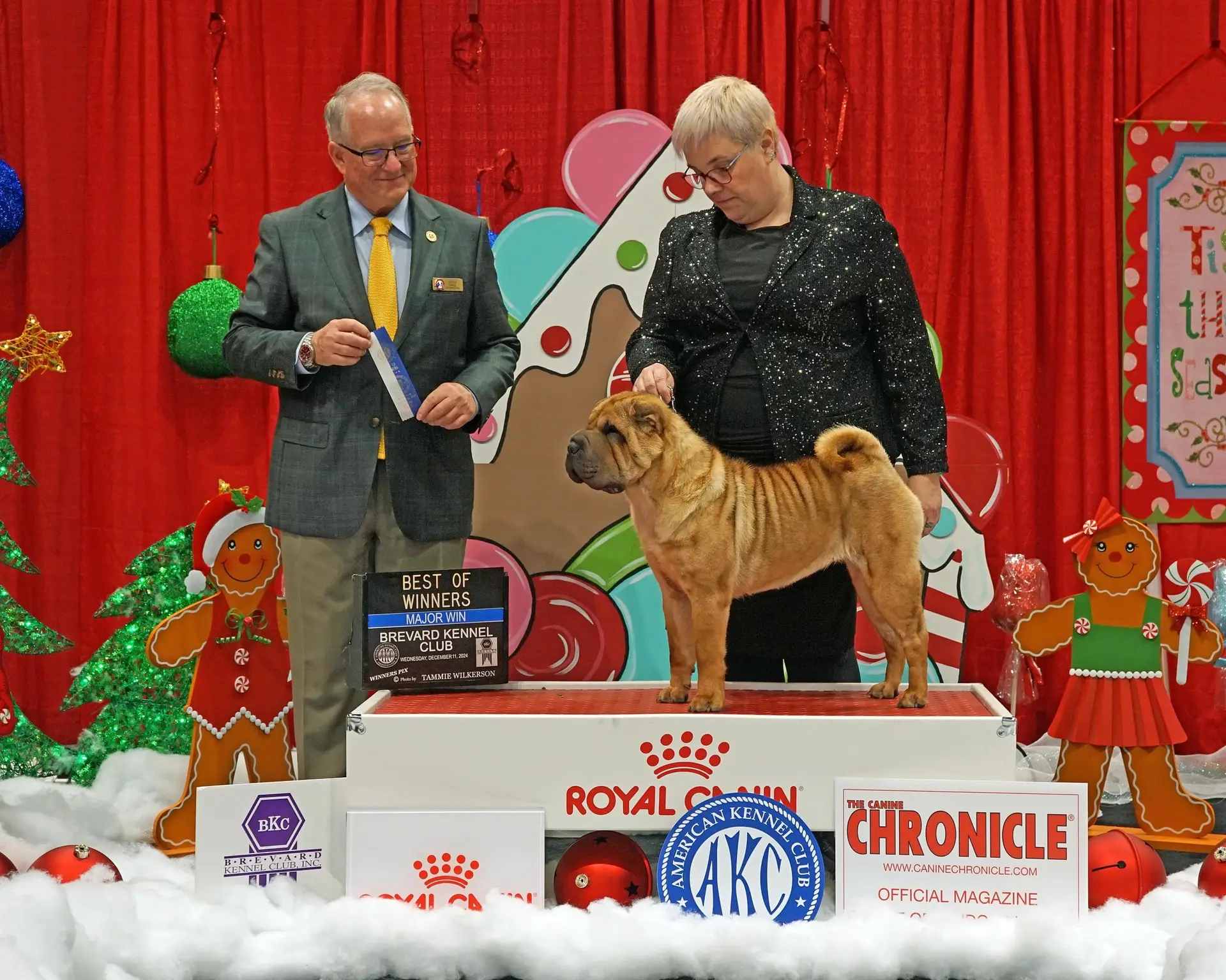 shar pei, usa, orlando, walt disney, honey moon,