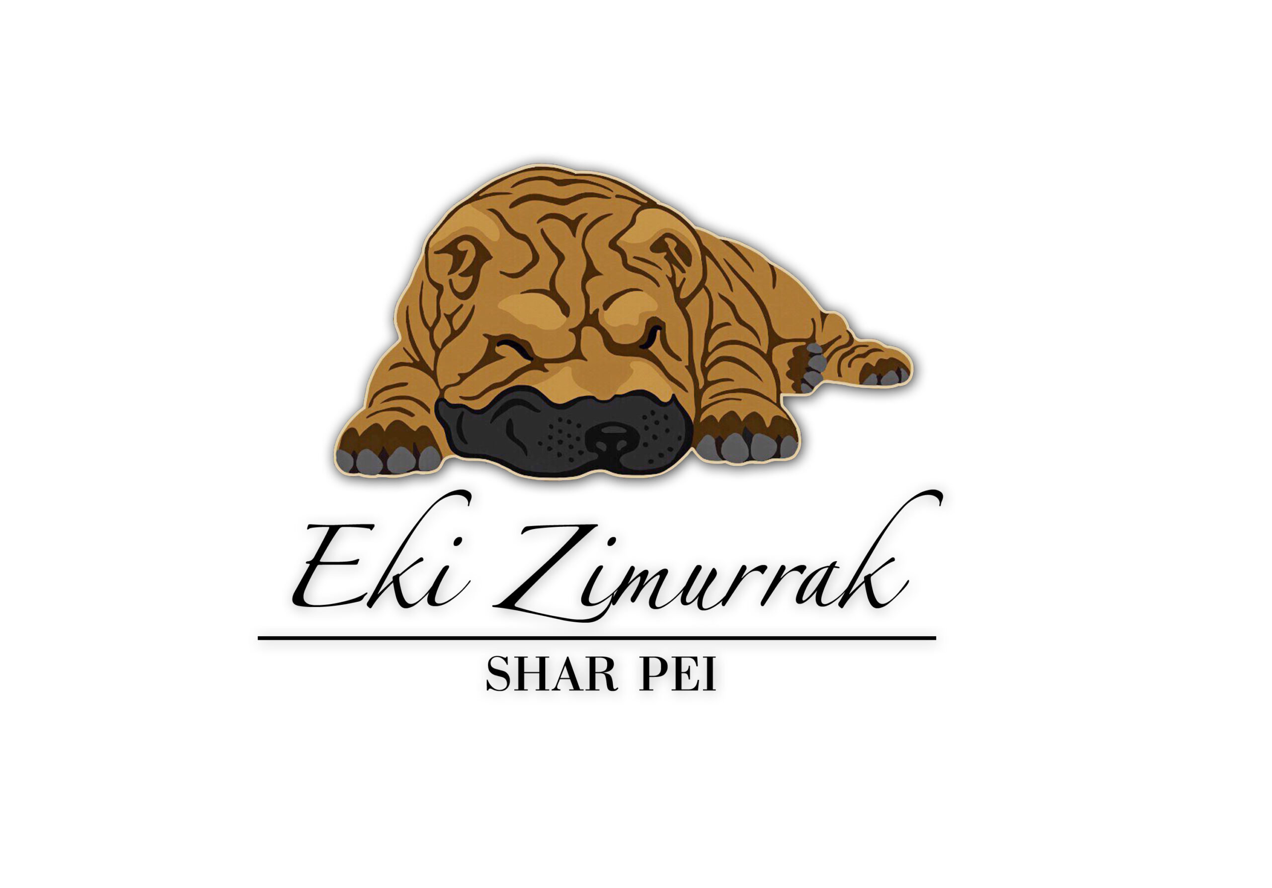 eki zimurrak shar pei bizkaia