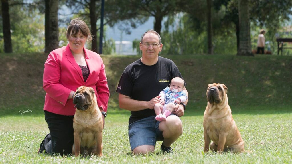 shar pei españa familiar