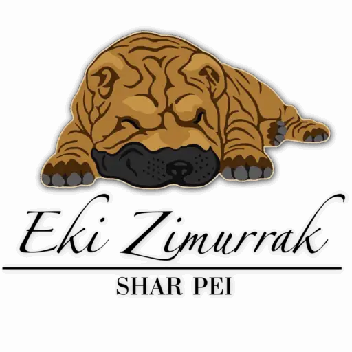 eki zimurrak black watermark